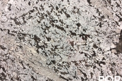 Bianco Antico Granite