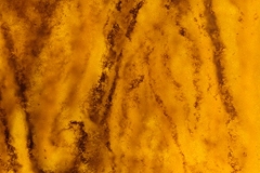 Honey Onyx